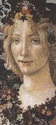 Primavera (mk36) Sandro Botticelli